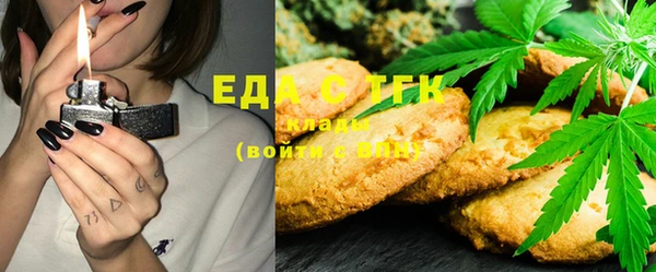 тгк Алексин
