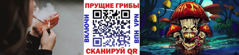 маркетплейс наркотические препараты  что такое наркотик  Болгар  Галлюциногенные грибы мицелий 